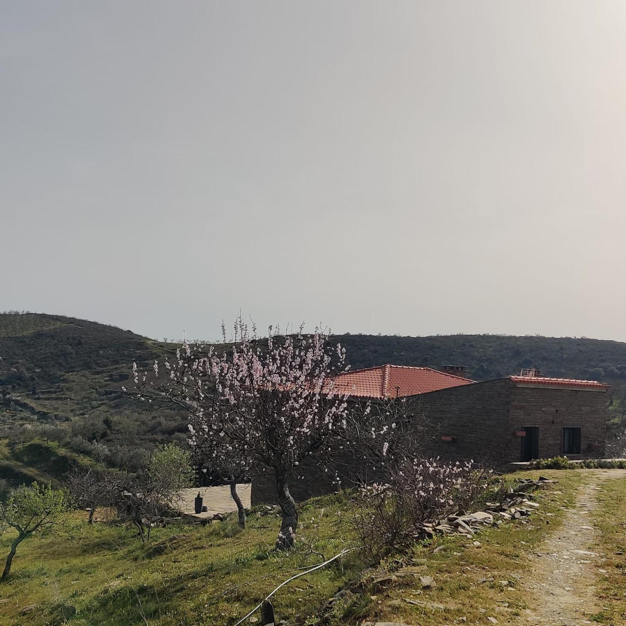 Eira Da Fraga Villa Vila Nova de Foz Côa Eksteriør bilde